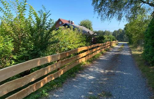 Ruhiger und renovierter Bungalow mit großem hundefreundlichem Garten zur Alleinnutzung - Foto 42