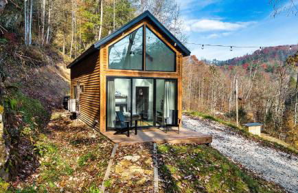 Tiny Cabin in RRG - The Naturalist - Foto 18