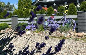 Apartament Różany - Foto 2