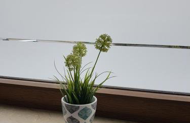 FeWo Lingenfeld - Foto 53