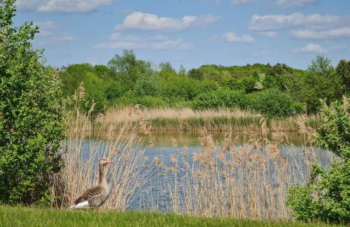Seevilla Dubai - Luxus Ferienhaus - Foto 64