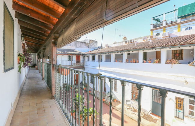 Alameda De Hercules in Sevilla - Photo 21