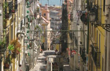 Casa Ambiente Verde - Foto 31