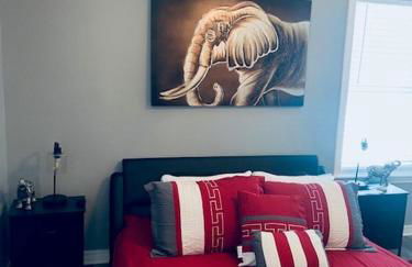 Xscapecation Oasis - Foto 12