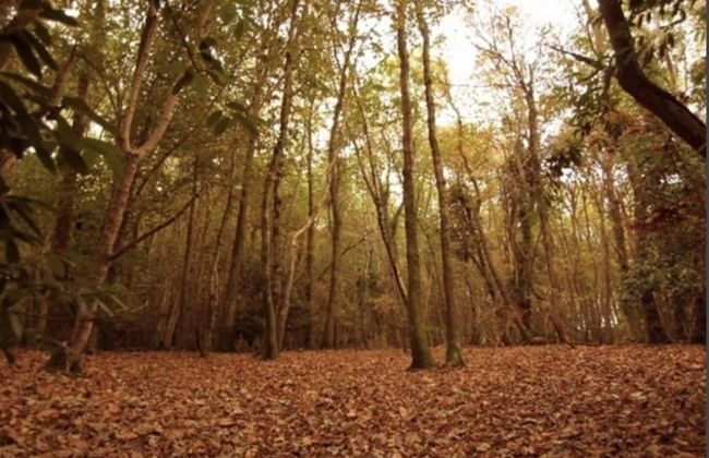 Holiday Cabin Sleeps 5 Caernarfon, Snowdonia - Photo 19