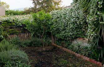 Zak's House - Foto 25