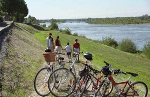 La vigne et la Loire - Foto 8
