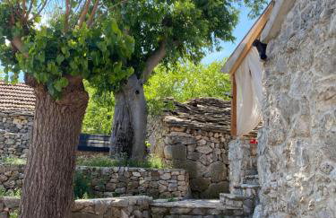 Apartman Robi - Photo 1