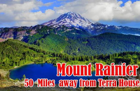 Terra House Tacoma - EV Power Station, Crib, Stroller, High Chair - Foto 31