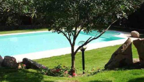 Il fresco patio appartamento Porto Rotondo - Foto 4