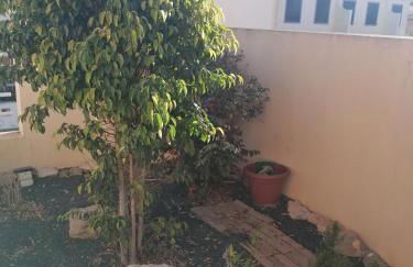 O DRAGOEIRO da Madalena! - Foto 43