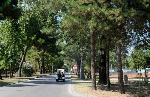 Fiordo Topazio - Foto 16