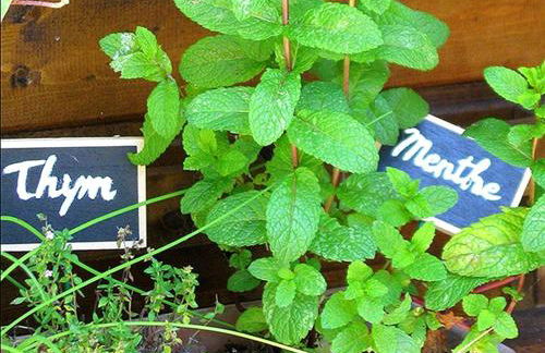 Gîte Les 3 Voiles - Foto 41