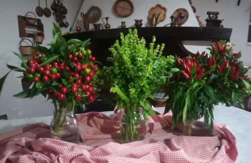 Agriturismo Torrevecchia - Foto 10