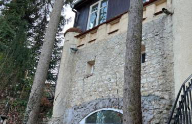 Schloss Suggenstein - Foto 19