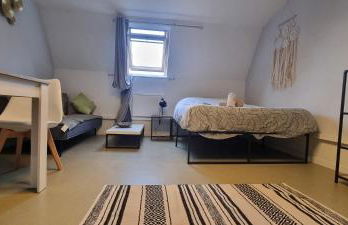 T1 rénové 29 m2 cosy confort ! - Foto 14