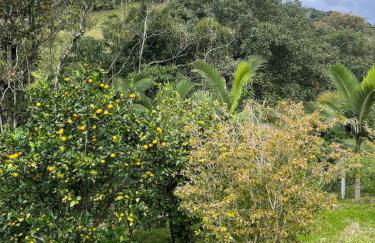 AMPLA CASA DE CAMPO - Afaven - Photo 60