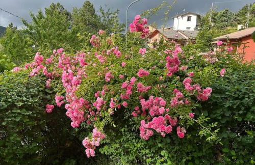 Villino Cecchini - Foto 24