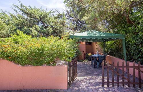 Il ginepro e la lantana - Foto 26