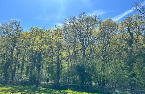 The Studio at Bluebell Barn - Foto 8