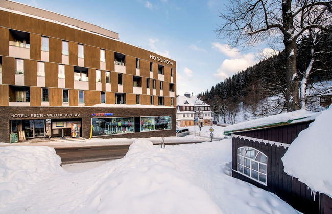 Hotel Pecr Well - Foto 38