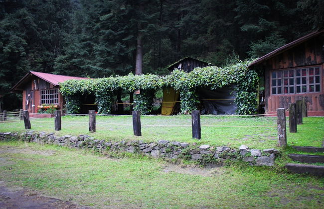 Los Vagones Cabañas Restaurante Bar - Photo 71