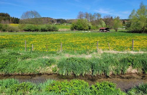 Idyllisches Ferienhaus mit Ausblick - Foto 12