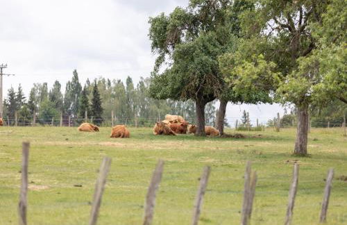 4-Bedroom Alsace Retreat - Foto 26