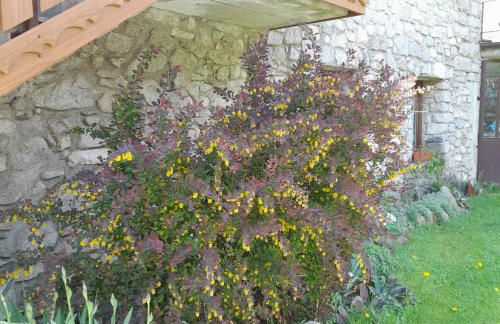 Soggiorno Vacanze Stella Alpina - Foto 10