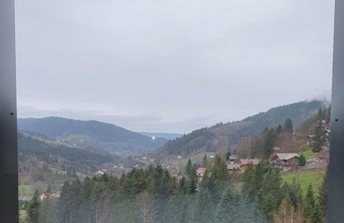 La Ferme du Panorama et Spa - Foto 20