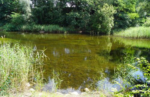 Ferienwohnung Rehagen Süd - Photo 9