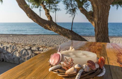 Electra Studios - Foto 78