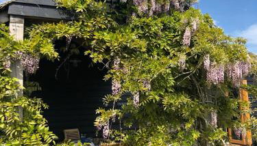 Pool House, farm stay - Foto 3, Garden view