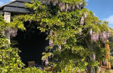 Pool House, farm stay - Foto 3