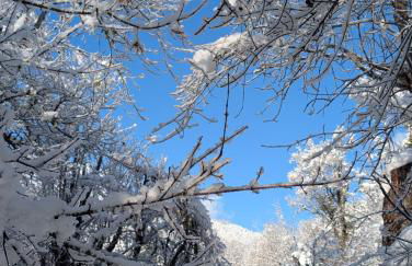 Clos Bois Joli - Foto 6