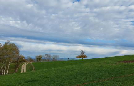 Le gîte des Aubèles - Photo 17