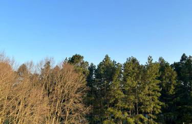 Studio Novo Individual com Sacada e Garagem em Camobi ao Lado da UFSM - Foto 13