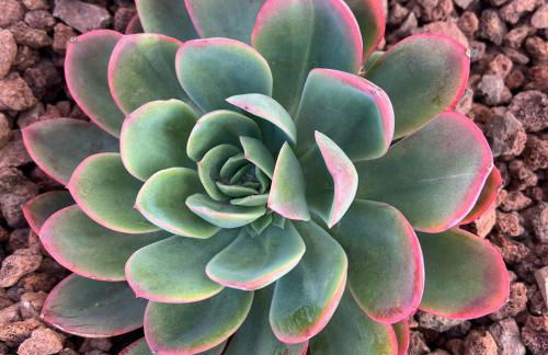 RocaSol Denia - Marina Real II - Foto 44