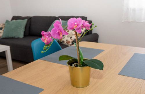 Villa Luni - Photo 36