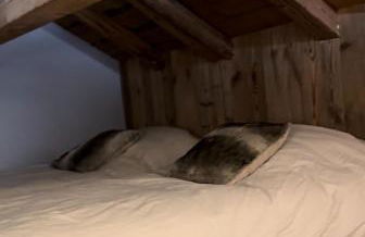 Stone Lake Luxury Lodge - Foto 25