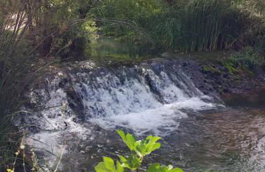 El Cantón - Alojamiento Rural - Foto 54