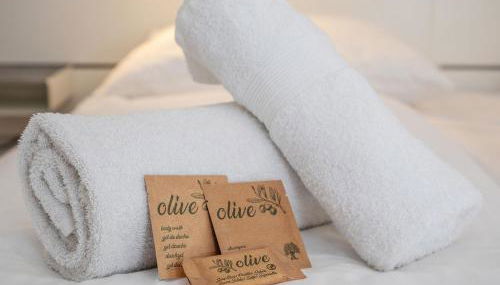 Great Studio - Foto 3