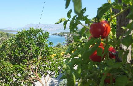 Apartment Tempera - Photo 19