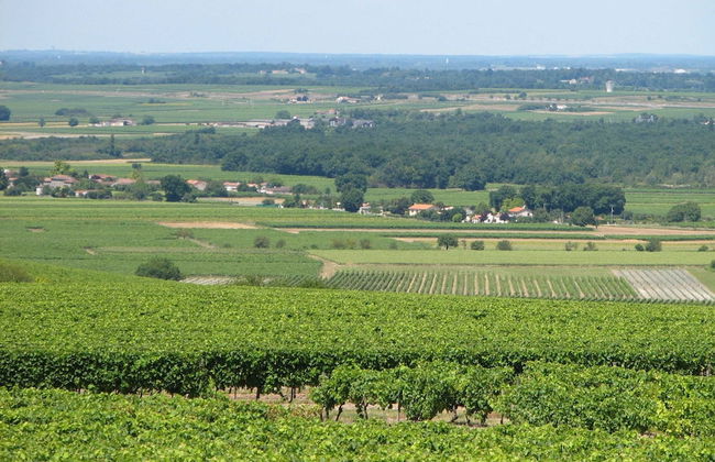 Chic Apartment in Segonzac With Swimming Pool - Foto 78