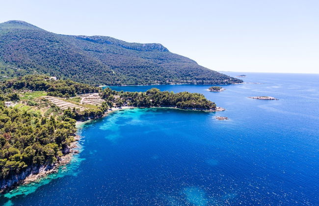 Apartments Dalmatin - Foto 33