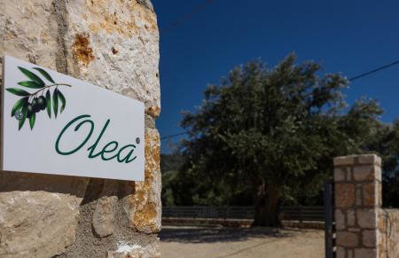 Olea Apartments - Foto 27