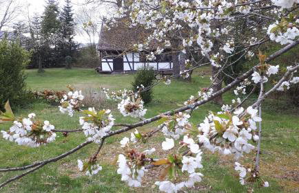 Małanka - kaszubska chëcz - Photo 4