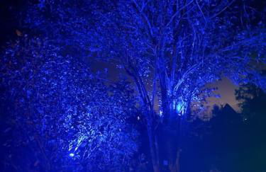 GRYT Home - FeWo XXL - Nähe Nordsee - Foto 52