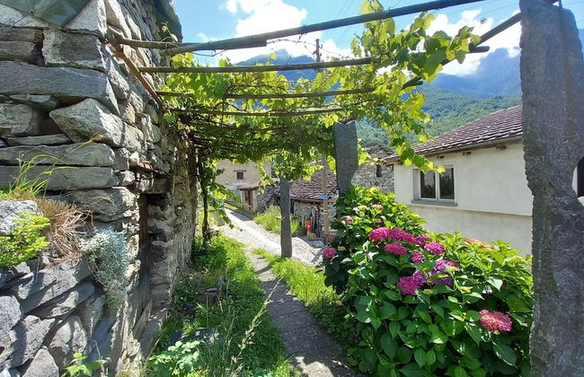 Room-"casa Coerente" Cavergno - Room #2 - Foto 18