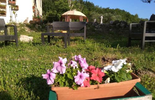 la masseria di Antonio e Teresina - Foto 11